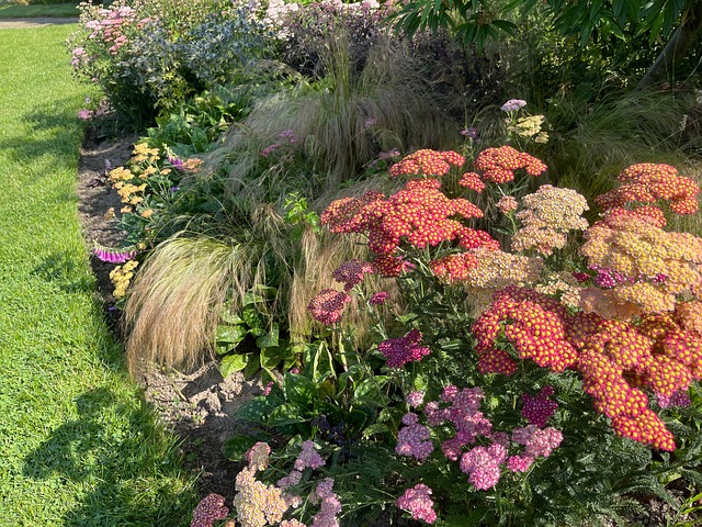 Free Flower Border Nature photo and picture