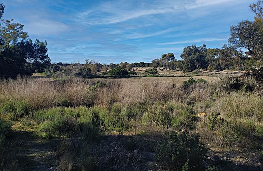 Free Paisaje Naturaleza photo and picture