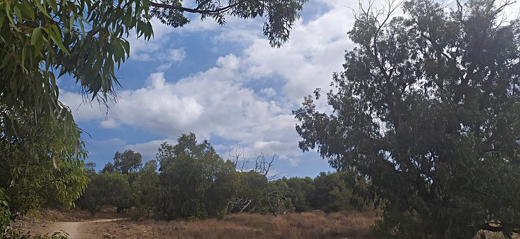 Free Paisaje Naturaleza photo and picture