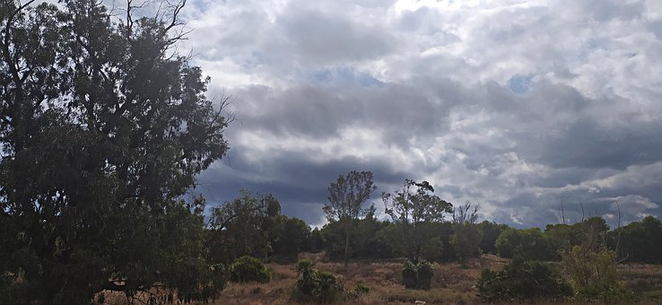 Free Paisaje Campo photo and picture