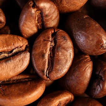 Free Coffee Beans photo and picture