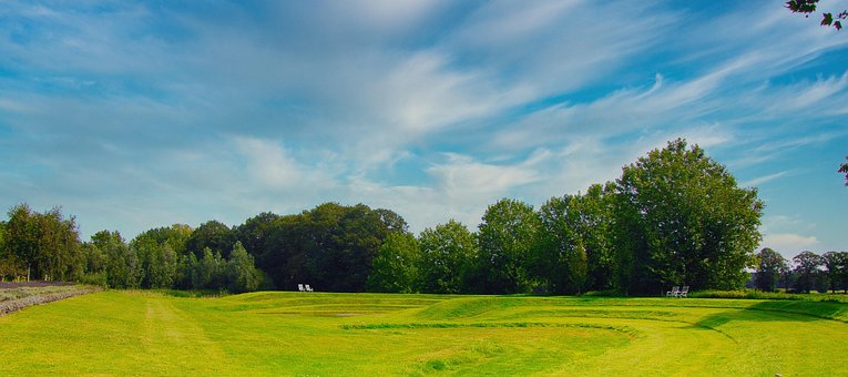 Free Lawn Nature photo and picture