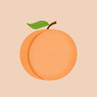 Free Broskyňa Ovocie illustration and picture