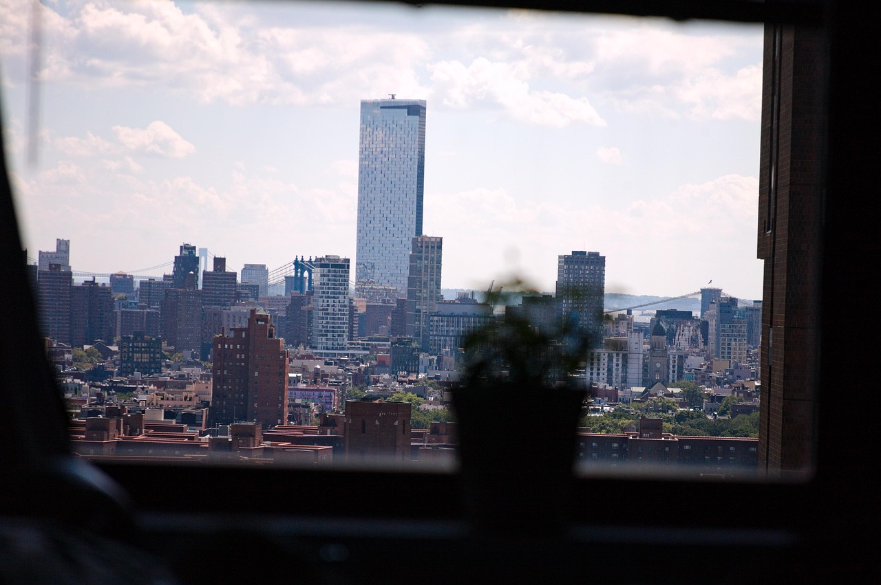View of Rose Plant High-Rise Apartment - Free photo on Pixabay - Pixabay