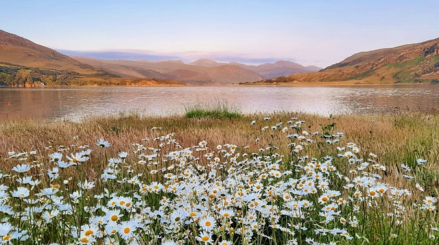 Free Scotland Loch Bromo photo and picture