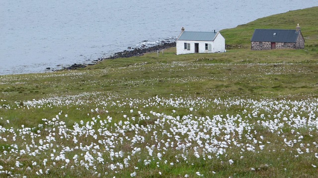 Free Scotland Nature photo and picture
