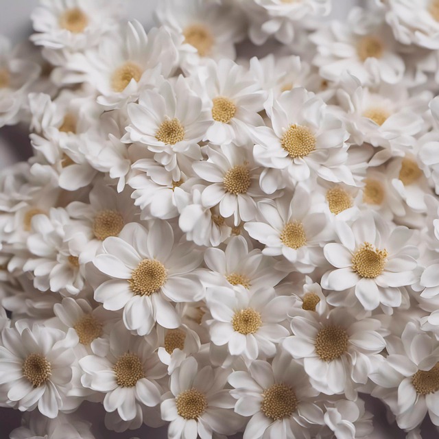 Ai产生的, 花朵, 自然, 白色的花, 花卉图案, 花的, 花卉背景, 背景