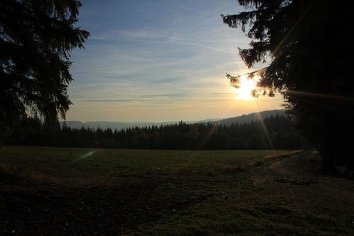 Šumava, Natur, Skov, Land, Tjekkisk, Sol