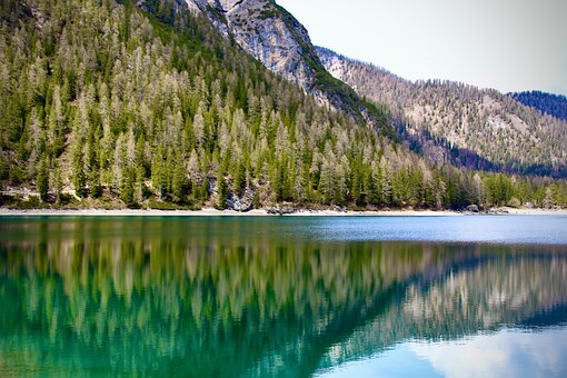 Free Mountains Trees photo and picture