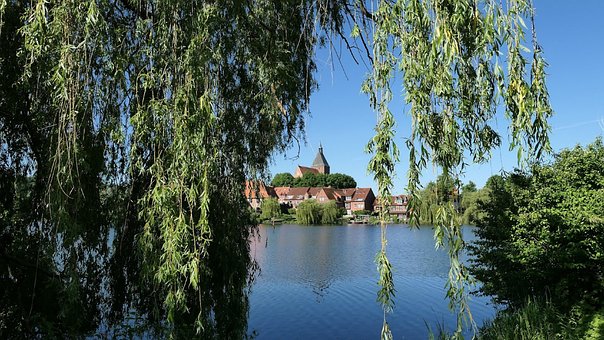 Mölln, Eulenspiegel, Naturaleza, Tonto