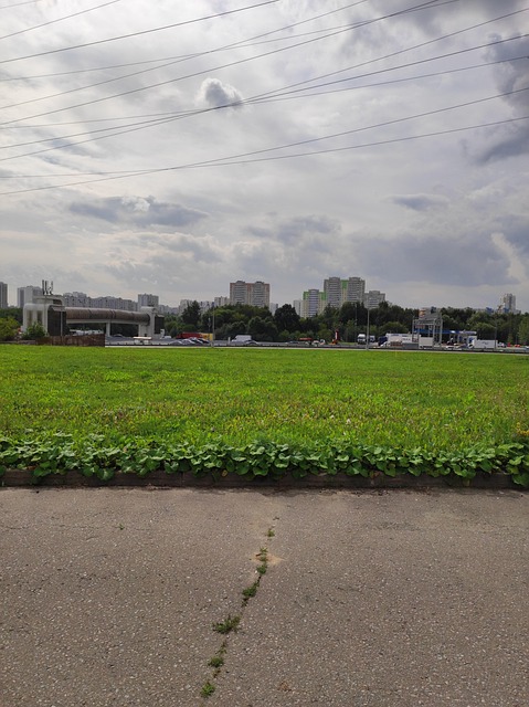 Free Grass City photo and picture