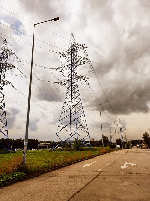 Free Grass Electricity Supply photo and picture