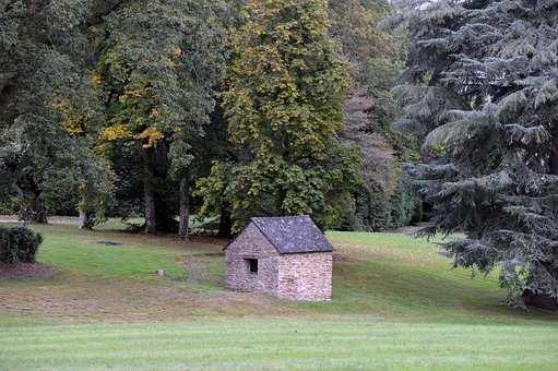 Natur, Garten, Park, Landschaft, Baum