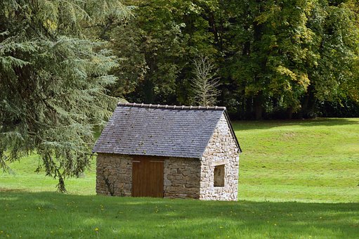 Natur, Landskab, Skov, Græs, Græsplæne