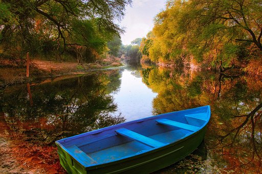 Free Boat Leaves With Boat photo and picture