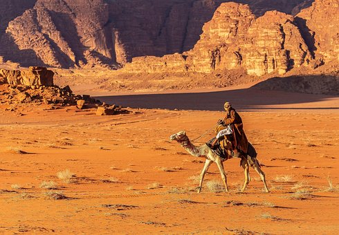Free Man Camel photo and picture