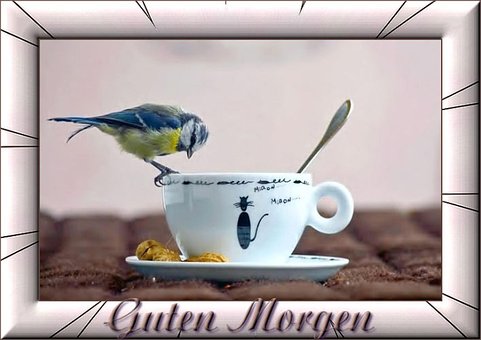 Kaffee, Morgens, Sonnenaufgang