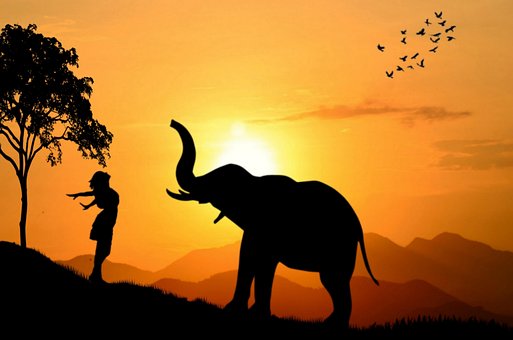 Free Girl Elephant illustration and picture