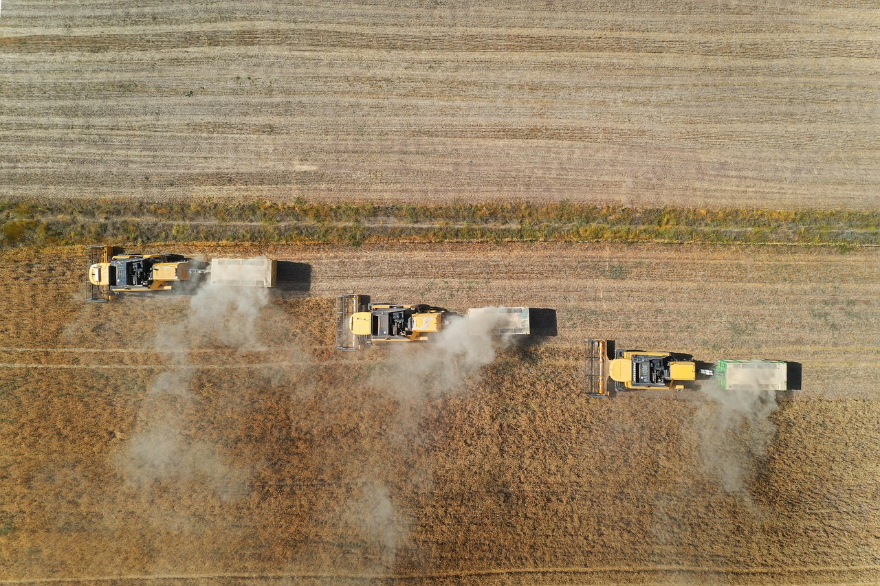 Nature Loading Nature Harvest Field Wheat - Free photo on Pixabay - Pixabay