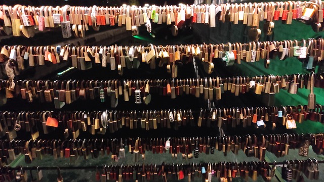 Free Ljubjana Lock photo and picture