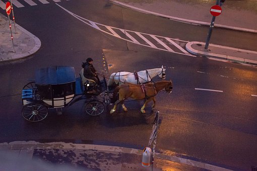 Paardenkar, Reis, Weg