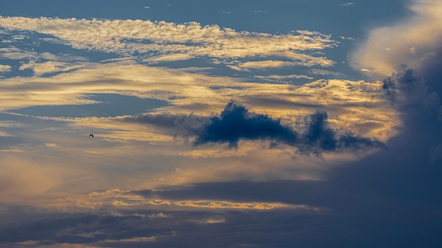 Pixabay Pixabay Pixabay Pixabay