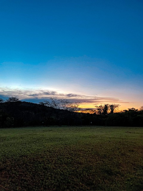Free Field Nature photo and picture