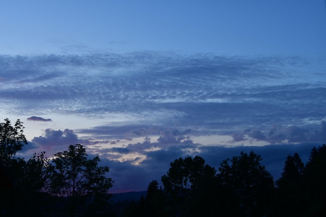 Free Summer Night Summer Evening photo and picture