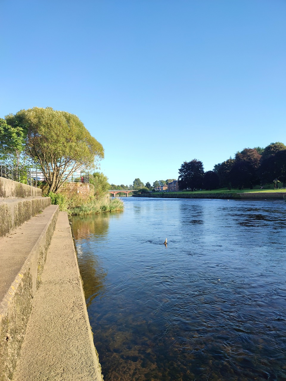 Water Scotland River Nature Scotland - Free photo on Pixabay - Pixabay