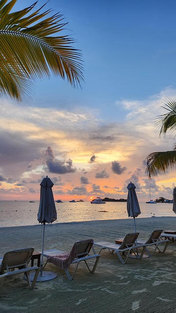 Free Sunset Jamaica photo and picture