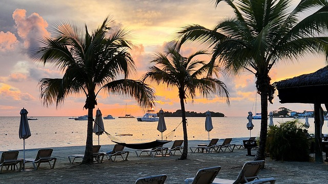 Free Sunset Beach photo and picture