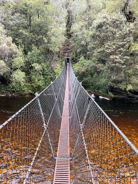 Free Bridge Cable photo and picture