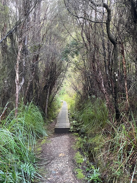 Free Walk Path photo and picture