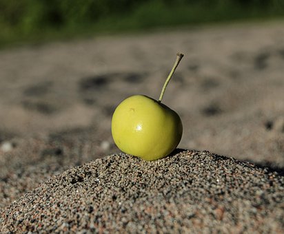 Frukt, Eple, Organisk, Grønn, Vitaminer