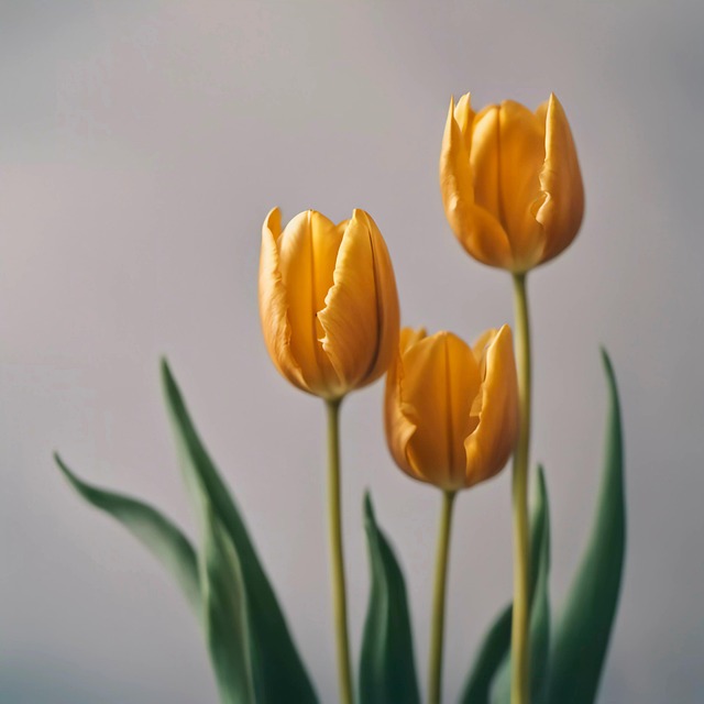 Ai Generiert, Blumen, Tulpen