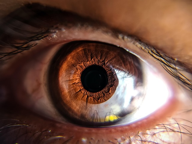 Free Eye Human photo and picture