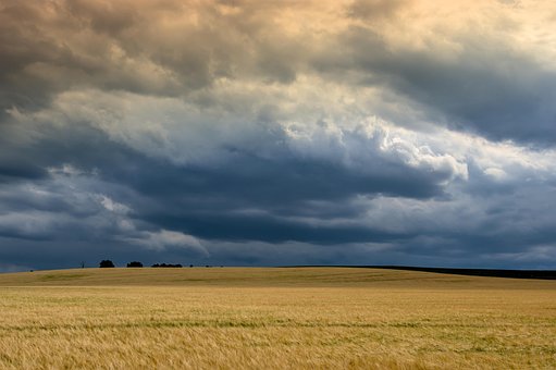 Campo, Clima, Prado, Nuvens, Tempestade