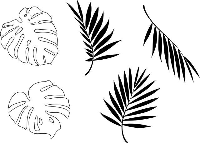 Free leaves palm monstera vector