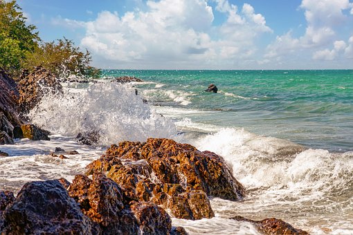 Free Beach Rocks photo and picture
