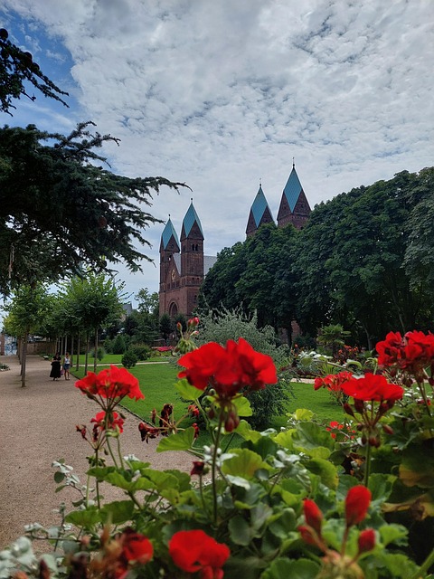 Free Cathedral Architecture photo and picture