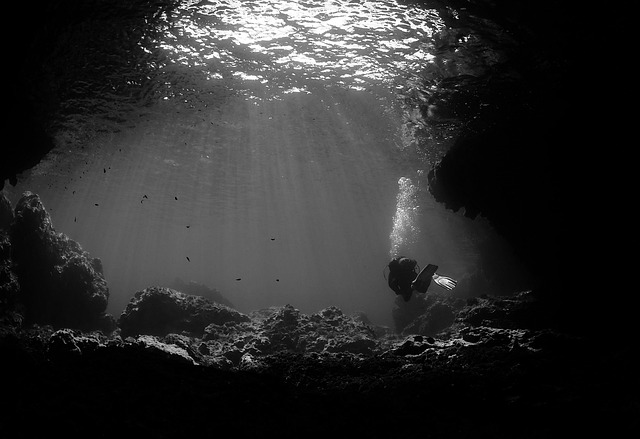 Free Diving Sun photo and picture