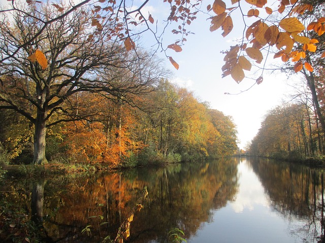 Free Autumn Nature photo and picture