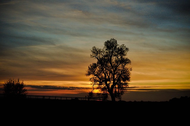 Free Almeida Portugal photo and picture
