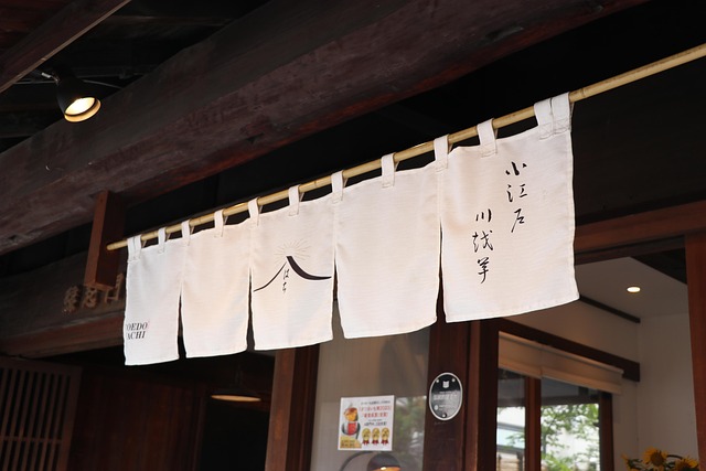 Free Japan Kawagoe photo and picture