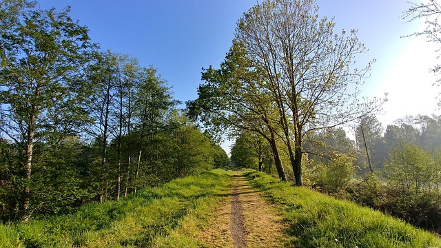 Free Path Progress photo and picture