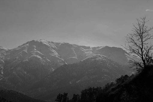 Free Tree Mountain photo and picture