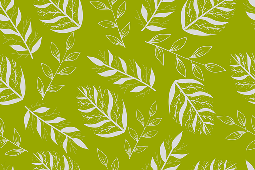 Abstrakt, Blade, Grene, Botanisk, Natur