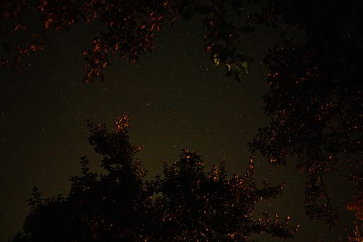 Free Stars Night photo and picture