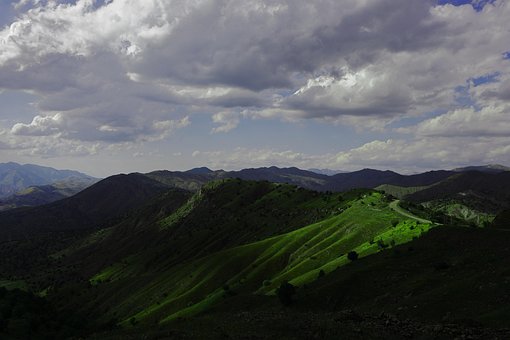 Free Spring Green photo and picture