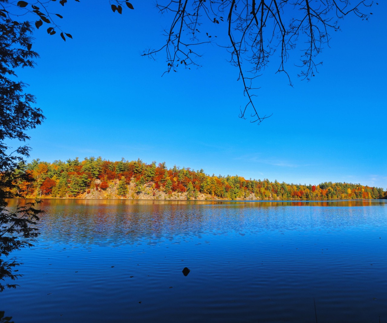 See Ahorn Herbst - Kostenloses Foto auf Pixabay - Pixabay